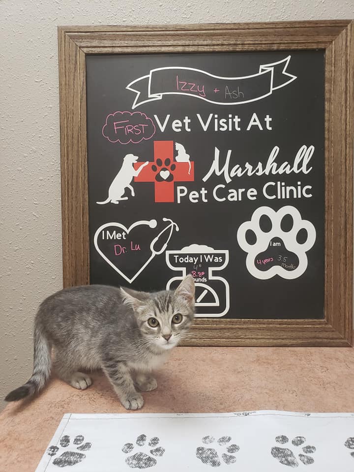 Marshall Pet Care Clinic - Marshall, WI - Slider 29
