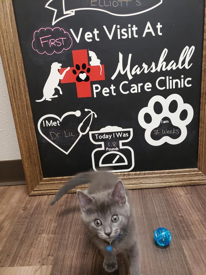 Marshall Pet Care Clinic - Marshall, WI - Thumb 31